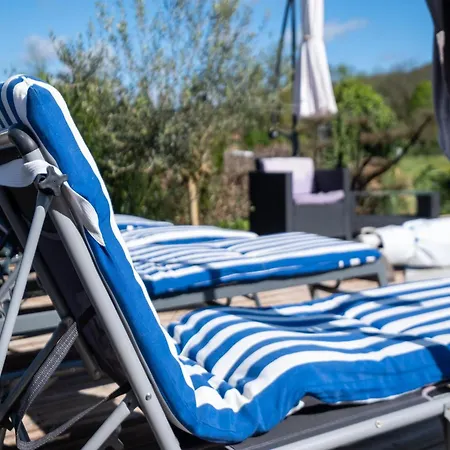 Charming Holiday With Swimming Pool Saint-Leon-sur-Vezere